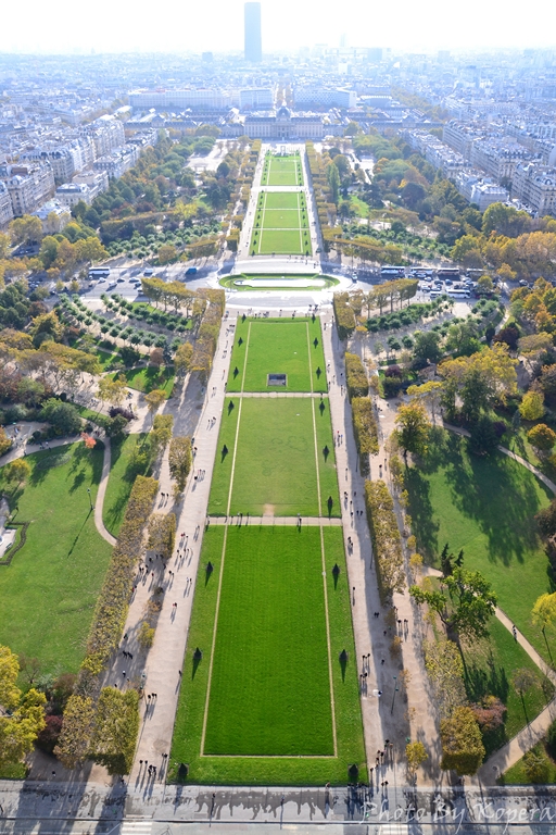 DSC_2895