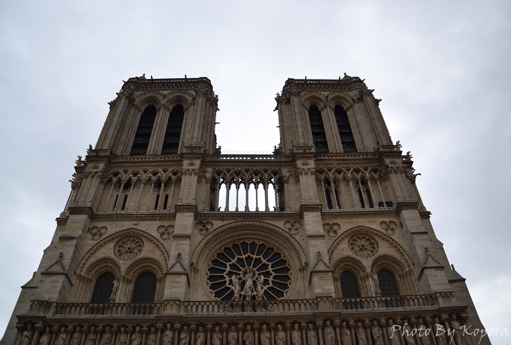 DSC_4559