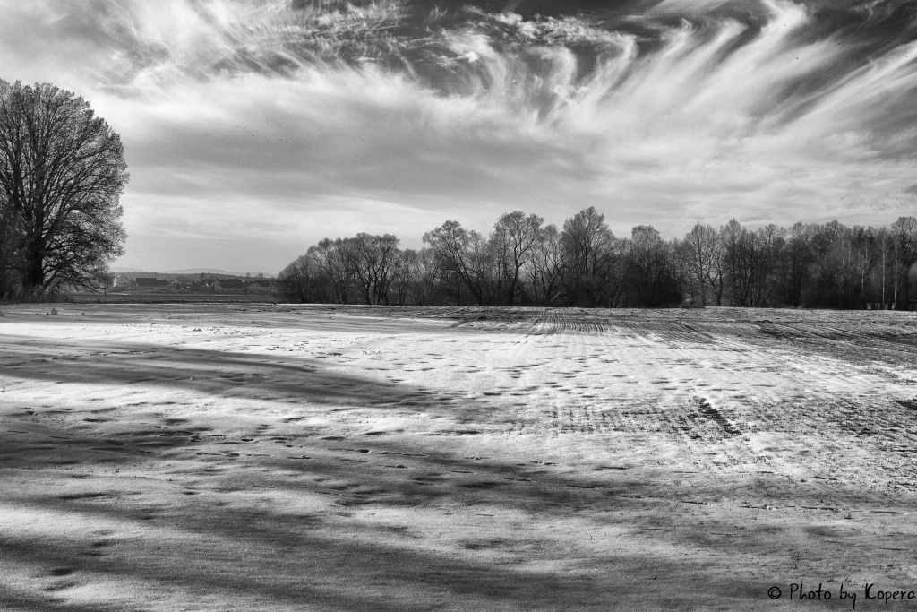 _DSC7157