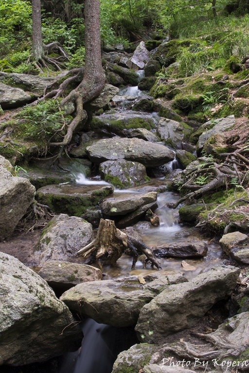 DSC_2434